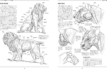 ウェザリーの動物デッサン ネコ科を描く | ジョー・ウェザリー, 大久保